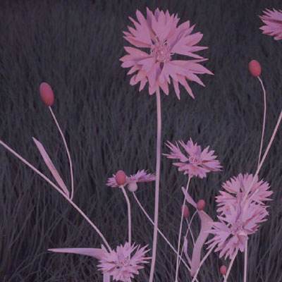 5848vip威尼斯电子游戏app下载